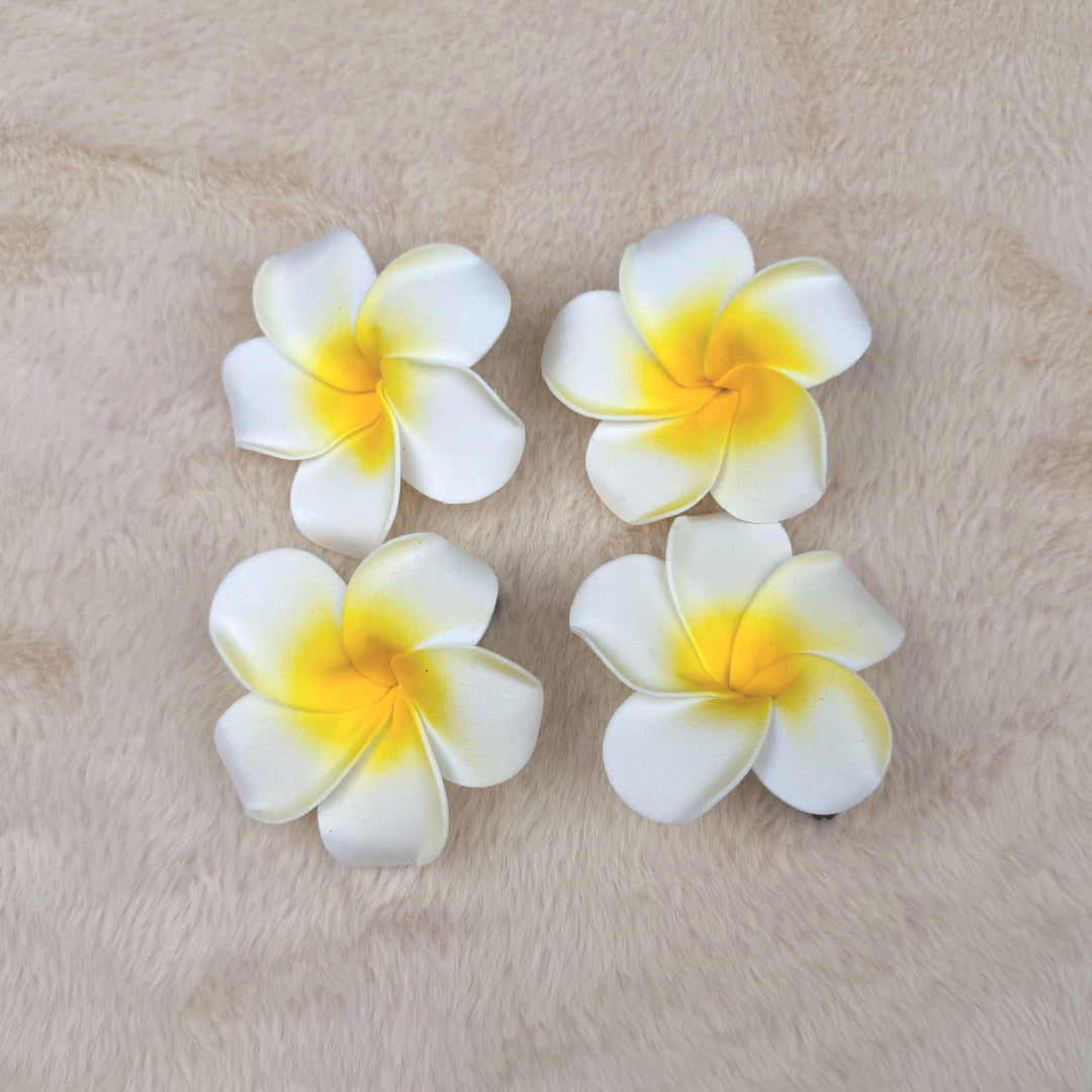 Set of 2 flower Clip